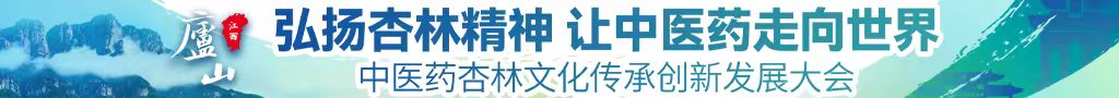 免费看叉逼中医药杏林文化传承创新发展大会